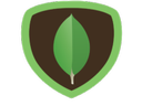 Mongo DB icon